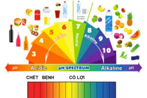 ĐỘ PH LÀ GÌ? CÁCH TÍNH ĐỘ PH VÀ ĐỘ PH CỦA MỘT SỐ DỤNG DỊCH PHỔ BIẾN