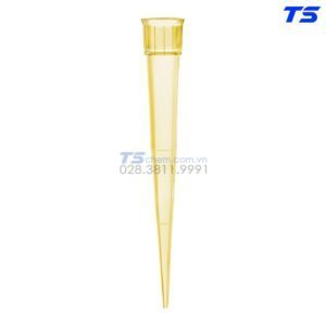 noi-ban-dau-tip-vitlab-gia-re-tai-tphcm