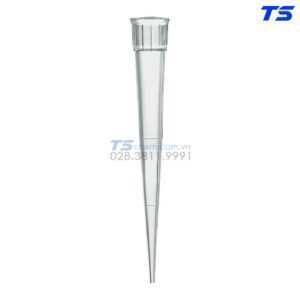 noi-ban-dau-tip-vitlab-gia-re-tai-tphcm