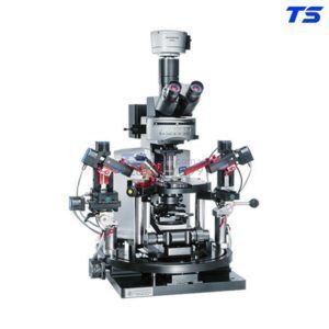 gia-kinh-hien-vi-BX61WI-olympus-re-o-dau-ban