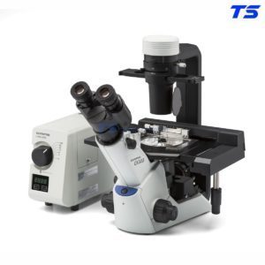 Kính hiển vi soi ngược CKX53 - Olympus 