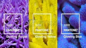 PANTONE