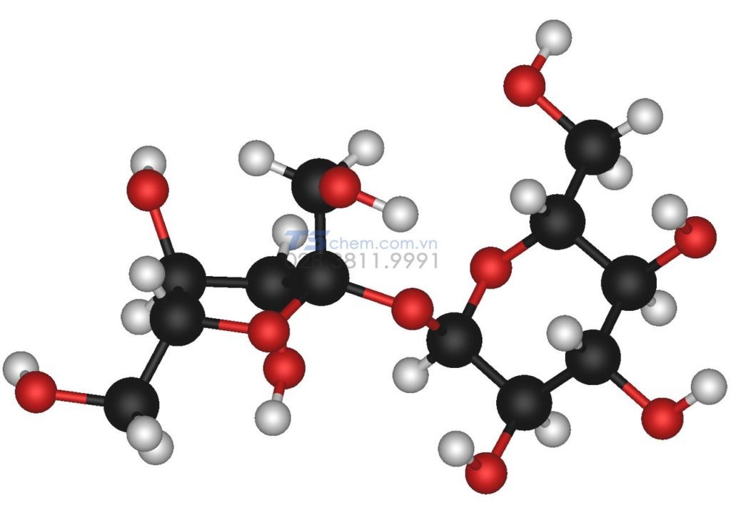 Cấu tạo phân tử 3D của Sucrose