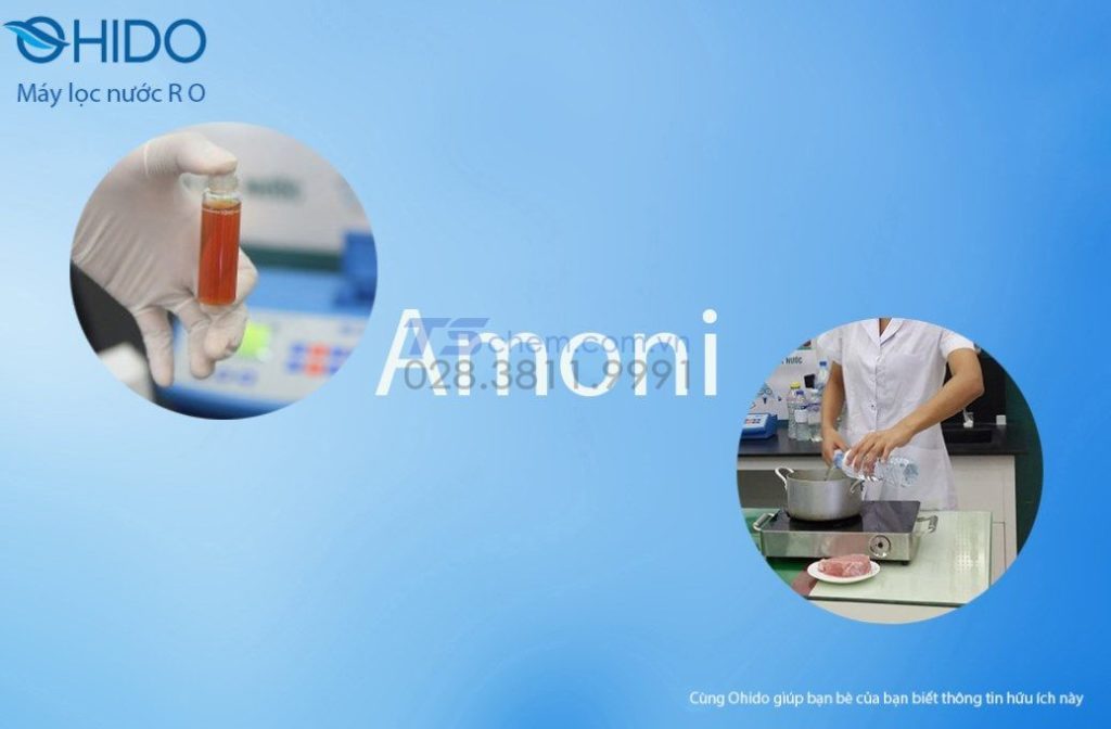 Những thông tin về AMONIA