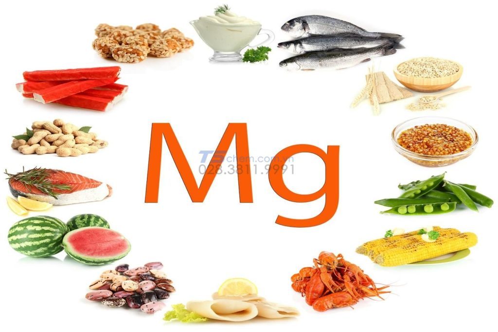 Công dụng của Magnesium Đối với con người