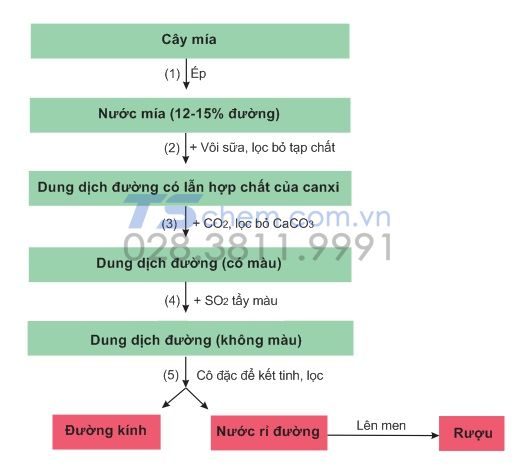 Qúa trình sản xuất đường Sucrose