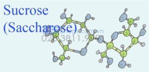 Sucrose là gì và những điều xoay quanh về Sucrose