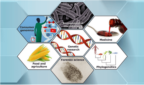 ỨNG DỤNG CỦA PCR