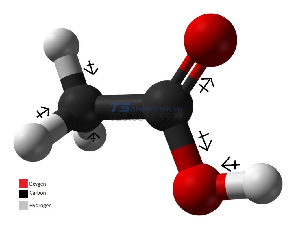 Acetic acid CẤU TẠO PHÂN TỬ