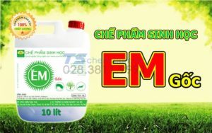 CHẾ PHẨM SINH HỌC EM VÀ NHỮNG ĐIỀU XUNG QUANH CHẾ PHẨM SINH HỌC EM