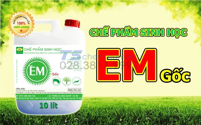 CHẾ PHẨM SINH HỌC EM VÀ NHỮNG ĐIỀU XUNG QUANH CHẾ PHẨM SINH HỌC EM