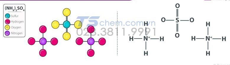 AMONI SUNPHAT LÀ GÌ? (NH4)2SO4 LÀ GÌ? ỨNG DỤNG CỦA (NH4)2SO4 - AMONI SUNFAT VÀ NƠI MUA HÓA CHẤT (NH4)2SO4 AMONI SUNPHAT