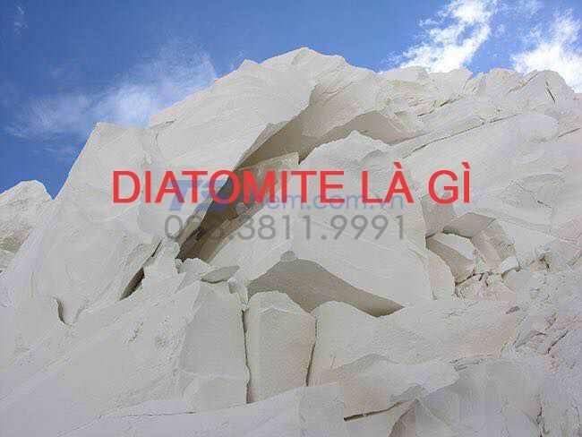 DIATOMITE LÀ GÌ? THÀNH PHẦN KHOÁNG VẬT - HÓA HỌC VÀ CÔNG DỤNG CỦA DIATOMITE. NƠI CUNG CẤP DIATOMITE LẺ TẠI TP HỒ CHÍ MINH