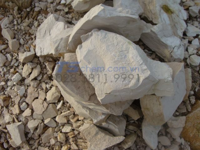 DIATOMITE LÀ GÌ? DIATOMITE LÀ GÌ?