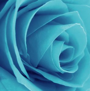 CYAN LÀ GÌ? CMYK LÀ GÌ?NGUYÊN TẮC IN PHỐI MÀU CỦA CMYK NHƯ THẾ NÀO? CHỈNH SỬA MÀU TRONG IN ẤN BẰNG CÁCH NÀO?