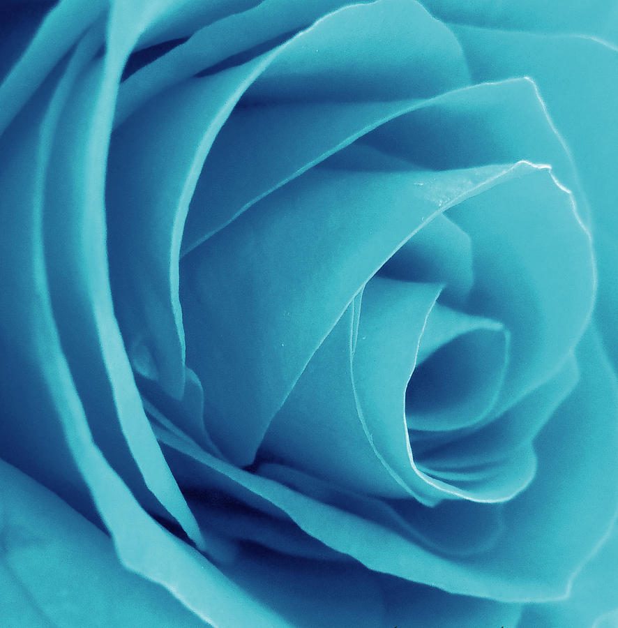 CYAN LÀ GÌ? CMYK LÀ GÌ?NGUYÊN TẮC IN PHỐI MÀU CỦA CMYK NHƯ THẾ NÀO? CHỈNH SỬA MÀU TRONG IN ẤN BẰNG CÁCH NÀO?