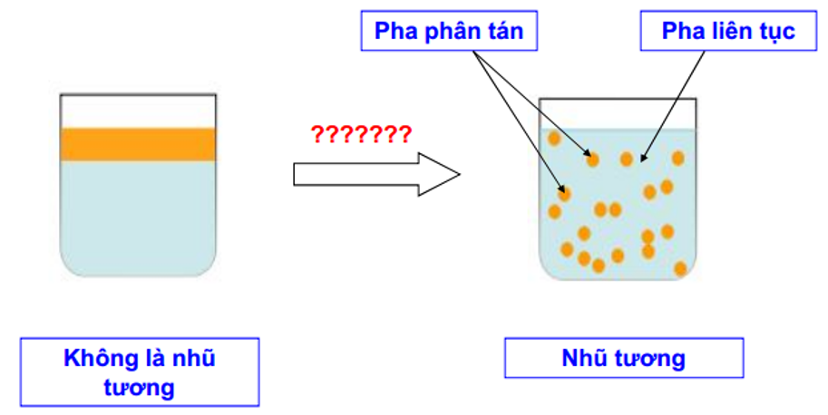 SỰ HÌNH THÀNH VÀ CÁC YẾU TỐ ẢNH HƯỞNG ĐẾN VIỆC TẠO NHŨ