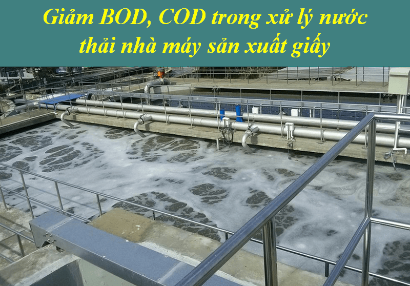 LÀM GIẢM BOD, COD TRONG NƯỚC THẢI BẰNG SẢN PHẨM VI SINH