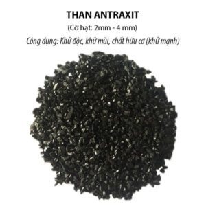 THAN ANTRAXIT LÀ GÌ?