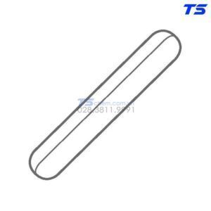 Cá từ dạng round SmSo PTFE IKAFLON® 30 Set (5 Pcs) - 4493200 - IKA