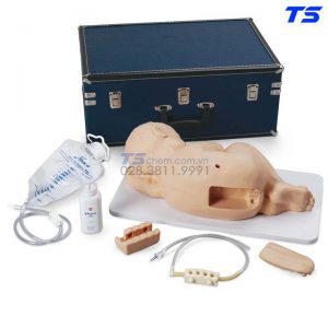 Mô Hình Thực Hành Chọc Dò Dịch Não Tuỷ Trẻ Em - 1017244 - 3B
