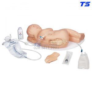 Mô Hình Thực Hành Chọc Dò Dịch Não Tuỷ Trẻ Em - 1017244 - 3B
