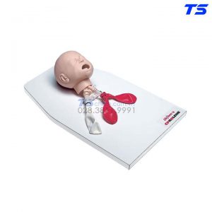 Mô Hình Thực Hành Đặt Nội Khí Quản Trẻ Sơ Sinh - 1017954 - 3B
