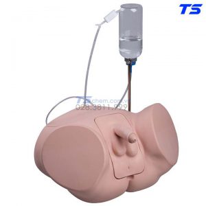 Mô Hình Thong Tiểu Nam Cơ Bản - 1020230 - 3B