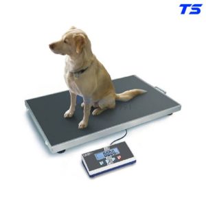 Cân sàn 150KG x 50G - EOS 150K50XL - Kern