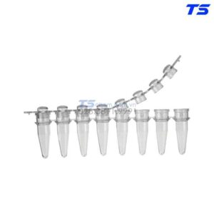 Tuýp PCR 0.2ml, 8-strip, không RNase & Dnase, endotoxin - Biologix