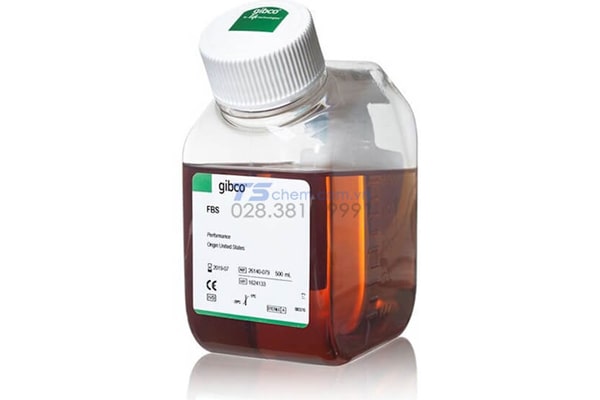 Gibco/Thermo 10270106