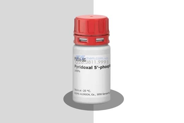 Hóa chất Pyridoxal 5-Phosphate Hydrate C8H10NO6P.H2O - Sigma Aldrich - P9255