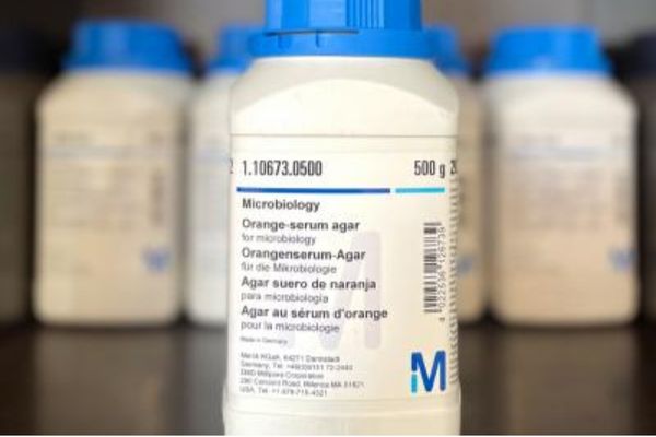Môi trường vi sinh Orange Serum Agar (500G) - Merck - 110673