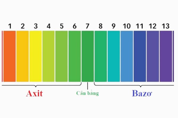 Phân loại giấy quỳ tím